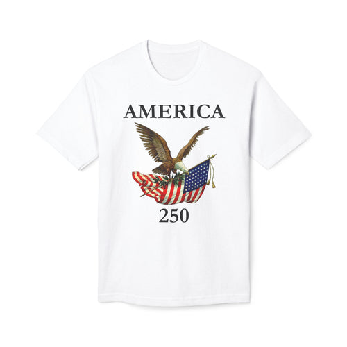 America 250 Eagle