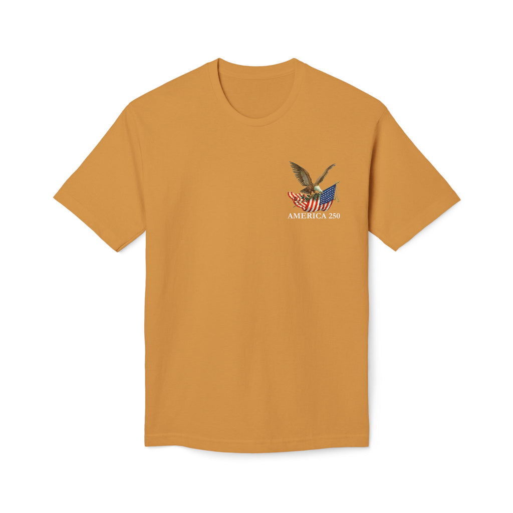 America 250 Eagle - Corner