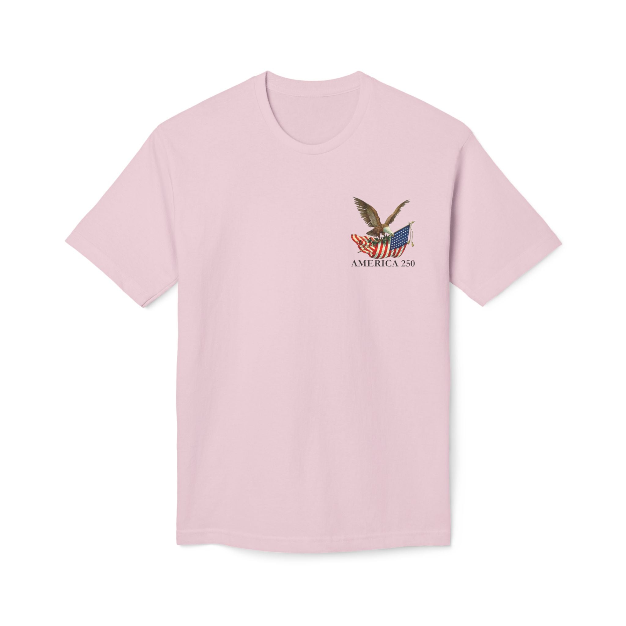 America 250 Eagle - Corner