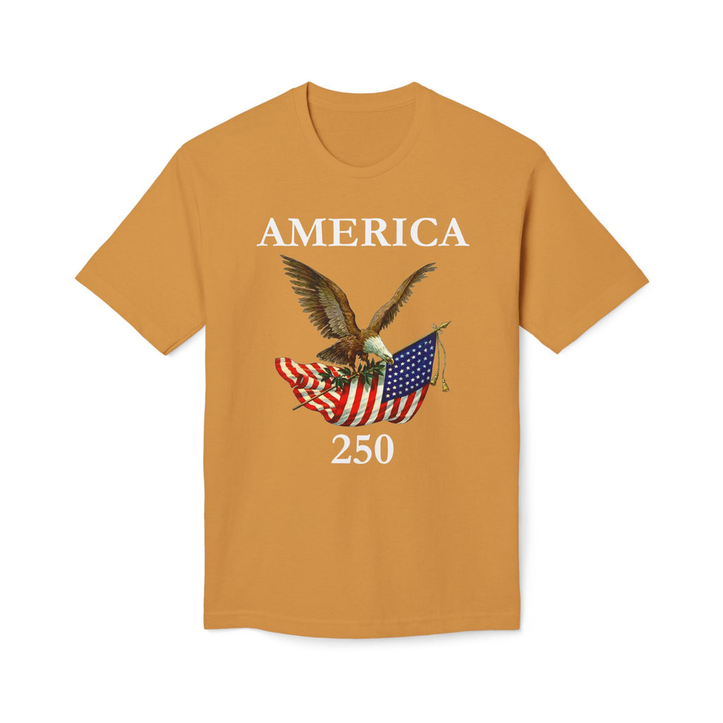 America 250 Eagle