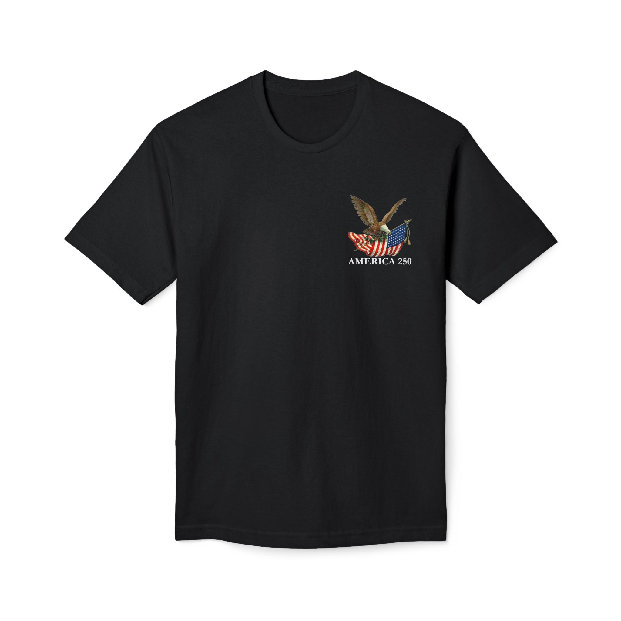 America 250 Eagle - Corner