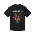 America 250 Eagle